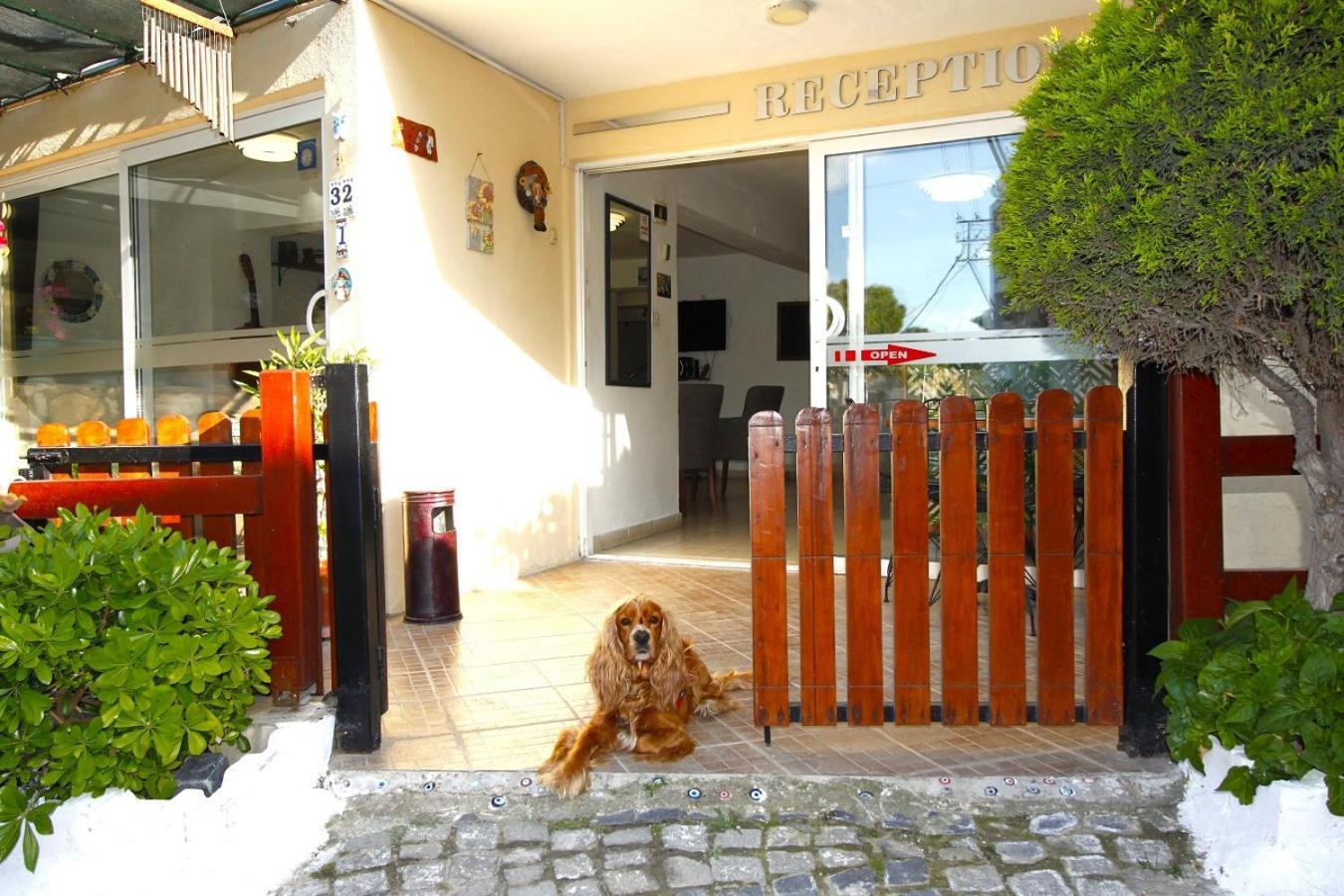 邦帕特酒店 Çeşme 外观 照片