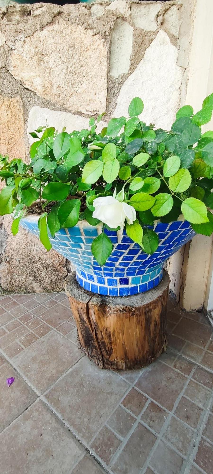 邦帕特酒店 Çeşme 外观 照片